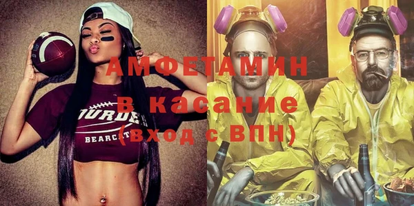 индика Алексеевка