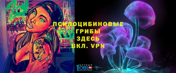 индика Алексеевка
