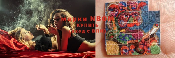 индика Алексеевка