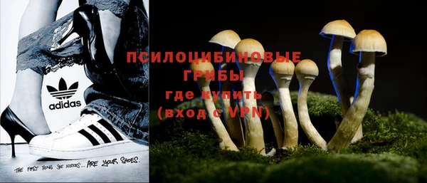 индика Алексеевка