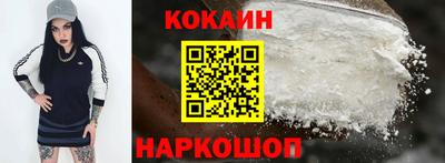 крисы Можга