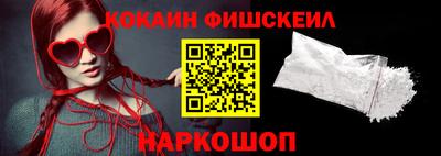 крисы Можга