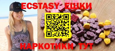крисы Можга