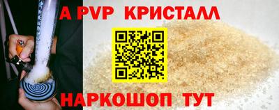 крисы Можга