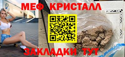 крисы Можга