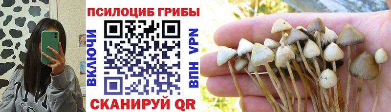 наркошоп  Владивосток  Псилоцибиновые грибы Magic Shrooms 