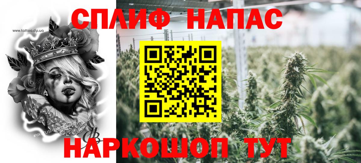 Канабис ГИДРОПОН Владивосток